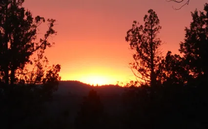 Turn Yourself In Podcast: Ep 14: D2 - Open Eyes To The Mystery