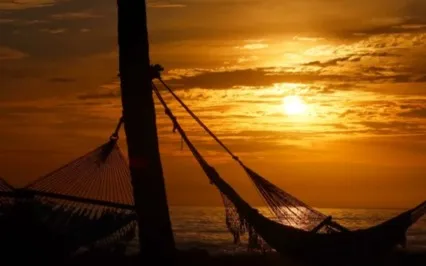 Turn Yourself In Podcast: Ep 16: D2 - Master Inner Relations