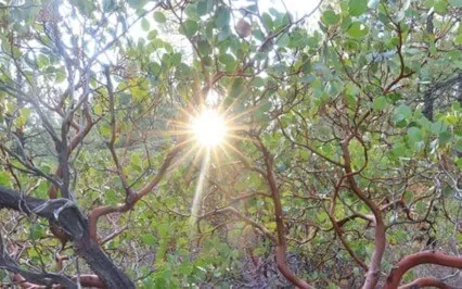 Turn Yourself In Podcast: Ep 17: D2 - Master Outer Relations