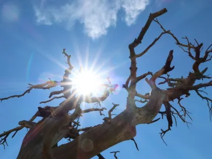 Turn Yourself In Podcast Ep 2: Observe, Witness, Contemplate