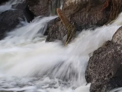 Turn Yourself In Podcast Ep 3: The "M" Path: Mindfulness