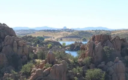 Turn Yourself In Podcast: Ep 37: D4: Plant Seeds