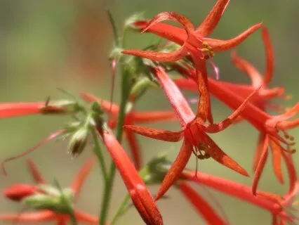 Turn Yourself In Podcast: Ep 6: D1-Find Peace Within