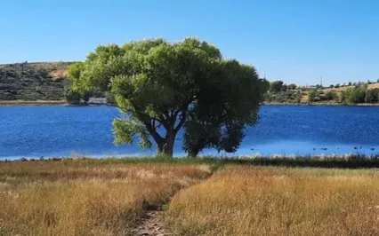 Turn Yourself In Podcast: Ep12: D1 - Engage With What You Love