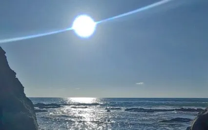 Turn Yourself In Podcast: Ep20: D2 - Deprogram The Illusion