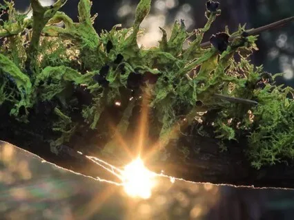 Turn Yourself In! Podcast Episode 1 - Introduction