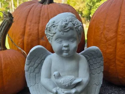 Turning Conflict Into Compassion