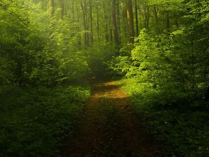 Turning Financial Regret Into Empowerment