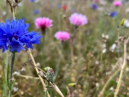 Turning Inward For Guidance - August 25