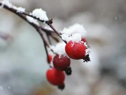 Turning Kindness Inwards- Jan 08