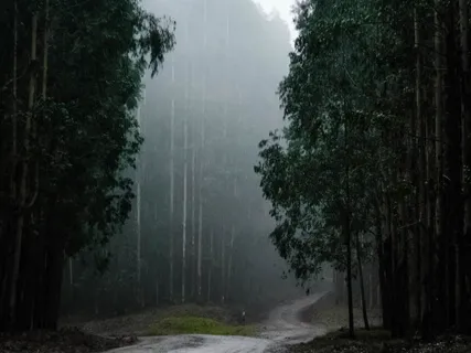 Turning Negative Into Positive