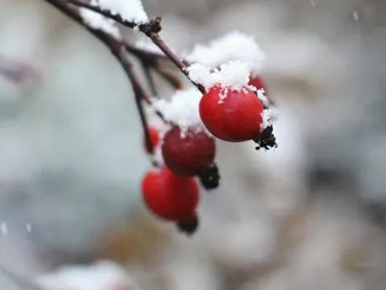 Turning Negative Thoughts Into Insight - Jan 18