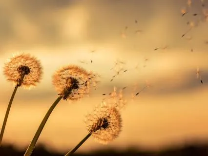 Turning Pain Into Purpose