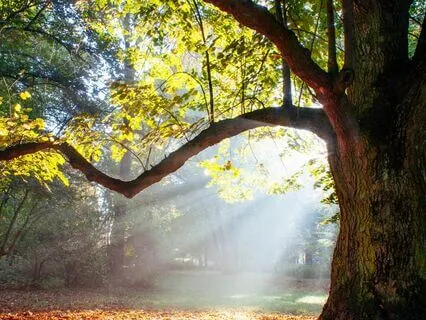 Turning Spirituality On Its Head