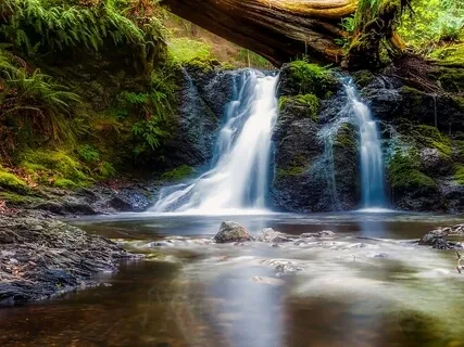 Turning The Heart To The Dharma