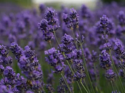 Turning The Volume Down And Coming Home To Self