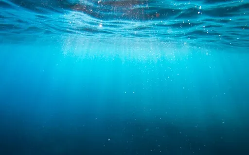 Turning Towards The Difficult ME/CFS/Fibromyalgia (MBSR)