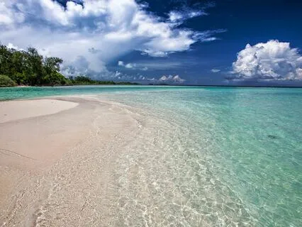 Turquoise Waves ~ Ambient Music and Ocean Soundscapes