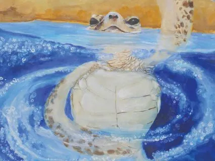 Turtle Turn-Spin Dance Concept For Kids