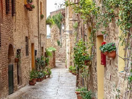 Tuscan Vineyard Spa Golden Fields Ambiance