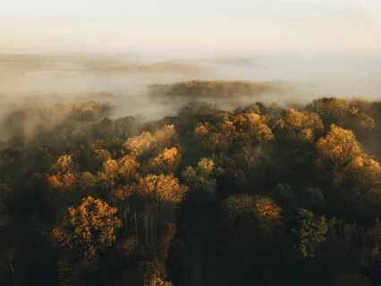 "Twenty Minutes of Peace" - Relaxing Symphonic Music