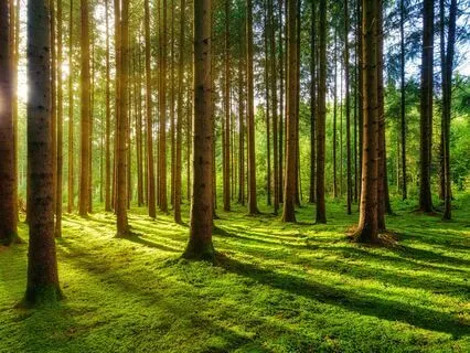 Twilight Awakening: Gentle Meditation For Positivity