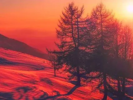 Twilight Bells