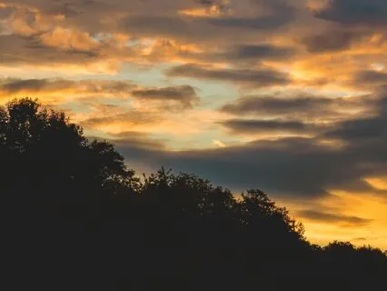 Twilight Drift