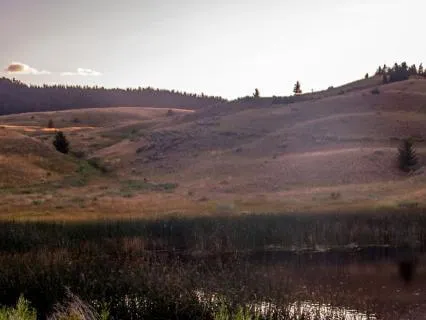Twilight Insects At Lac Du Bois, BC With Smooth Synth