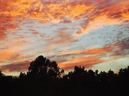 Twilight's Gentle Fall