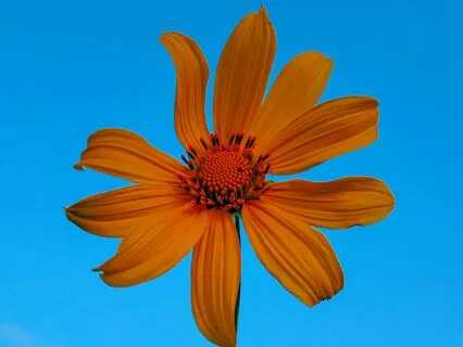 Twin Flame Connection Sleep Meditation