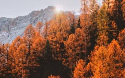 Twin Flame Frequency | Music For Connection | Soul Mate