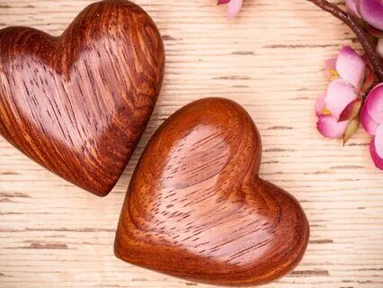 Twin Hearts Guided Meditation