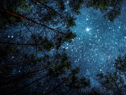 Twinkle, Twinkle Little Star