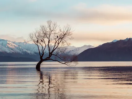 Yoga Nidra Meditation For All Levels By Twisted Roots YogaFaith - Christian Yoga Nidra