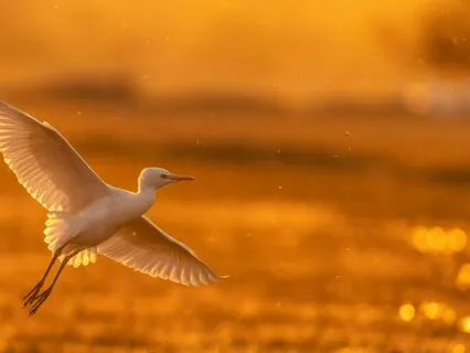 Two Best Techniques To Reduce Anxiety Before Travel