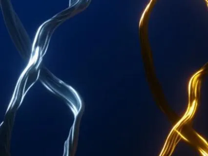 Two Channels: Breath & Energy Balance