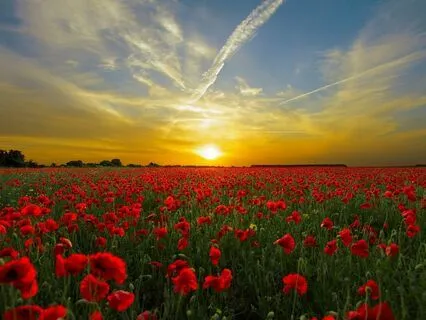 Two Ends Apart - Dream, Harmony, Relaxation