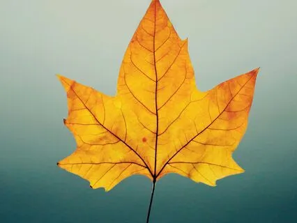 Two Guiding Truths - October 10