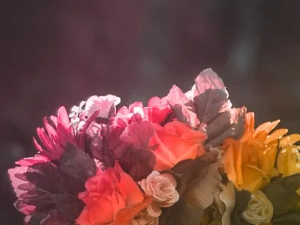 Two Hearts Beat - Acoustic