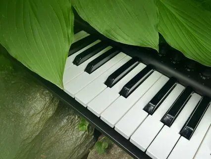 Two Hours Of Meditative Piano (Compilation)