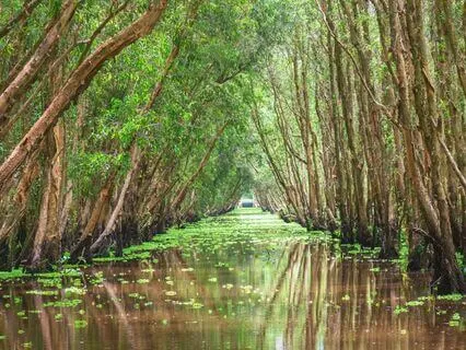 Two Hours Of Relaxing Piano