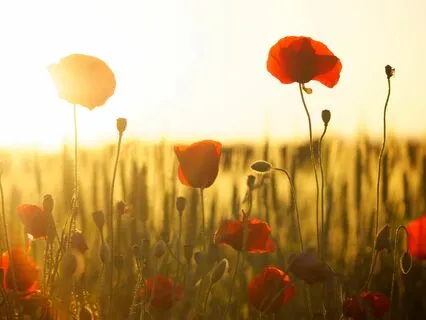 Two Hours Of Tranquil Serenity