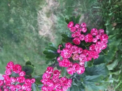 Two Minute Energy Meditation