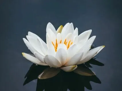 Two-Minute Mindful Breath To Relax