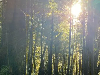 Two Minute Morning Meditation