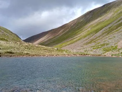 Two-Minute Safety Cue Reset (With Music)