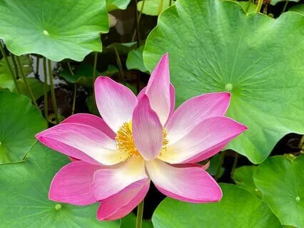 Two-Minute Tactile Mindfulness Practice