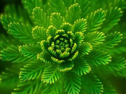 Two Minute Tune-Up - 174 Hz Grounding Frequency