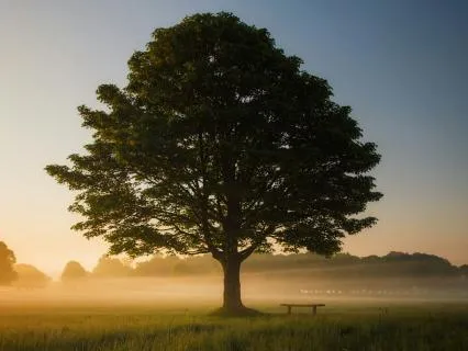 Two Minutes Of Stillness